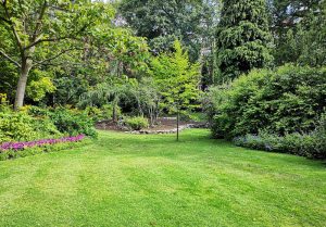Optimiser l'expérience du jardin à Avoise